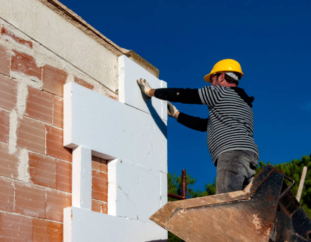 Best Blown-in Insulation in Aldine, TX