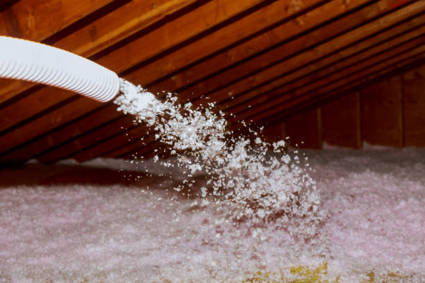 Best Geographic-Specific Insulation Services in Aldine, TX